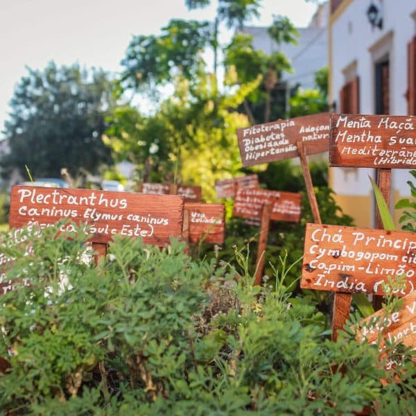 Apartamento do Palheiro — Casa da Tita, foto 4